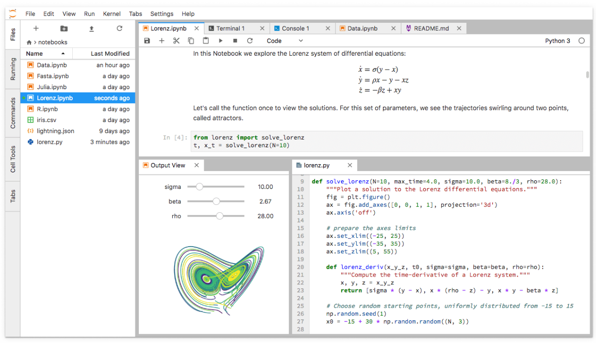 Standard JupyterLab layout